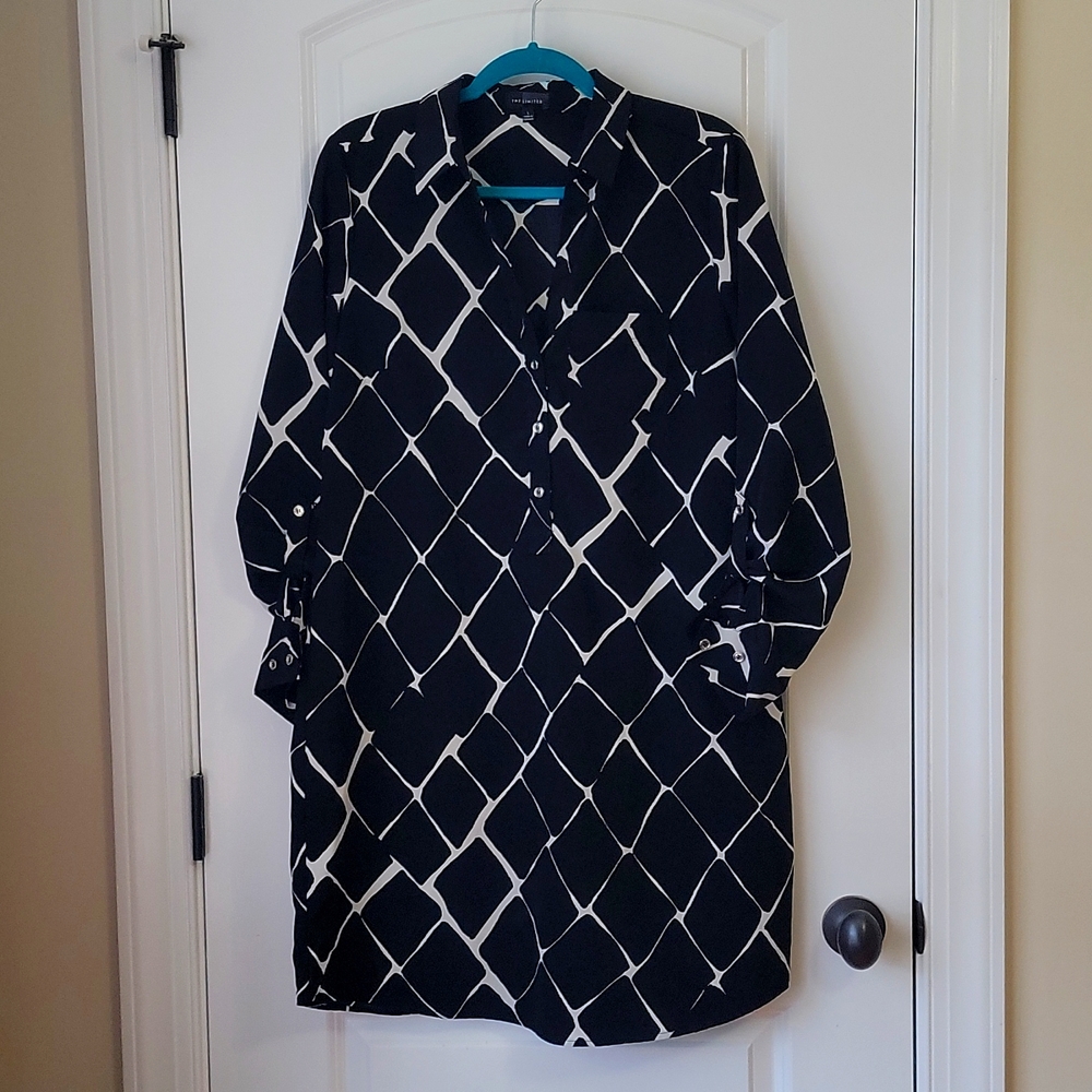 The Limited Shirt Dress